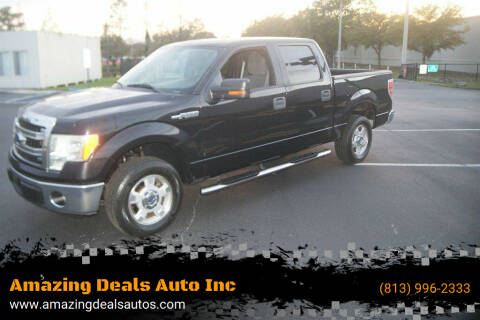 2014 Ford F-150 for sale at Amazing Deals Auto Inc in Land O Lakes FL