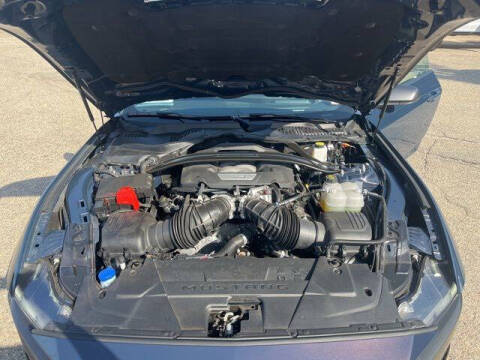 2024 Ford Mustang Dark Horse