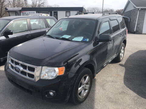 2011 Ford Escape for sale at RACEN AUTO SALES LLC in Buckhannon WV