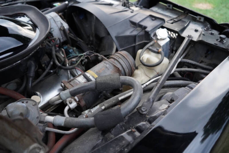 1976 Pontiac Firebird Trans Am