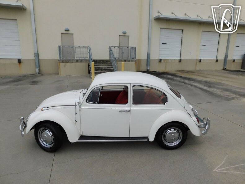 1966 Volkswagen Beetle