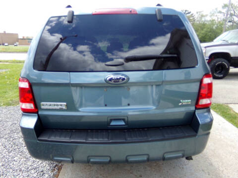 2011 Ford Escape XLT