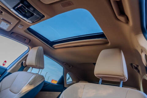 2023 Lexus NX 250 Premium