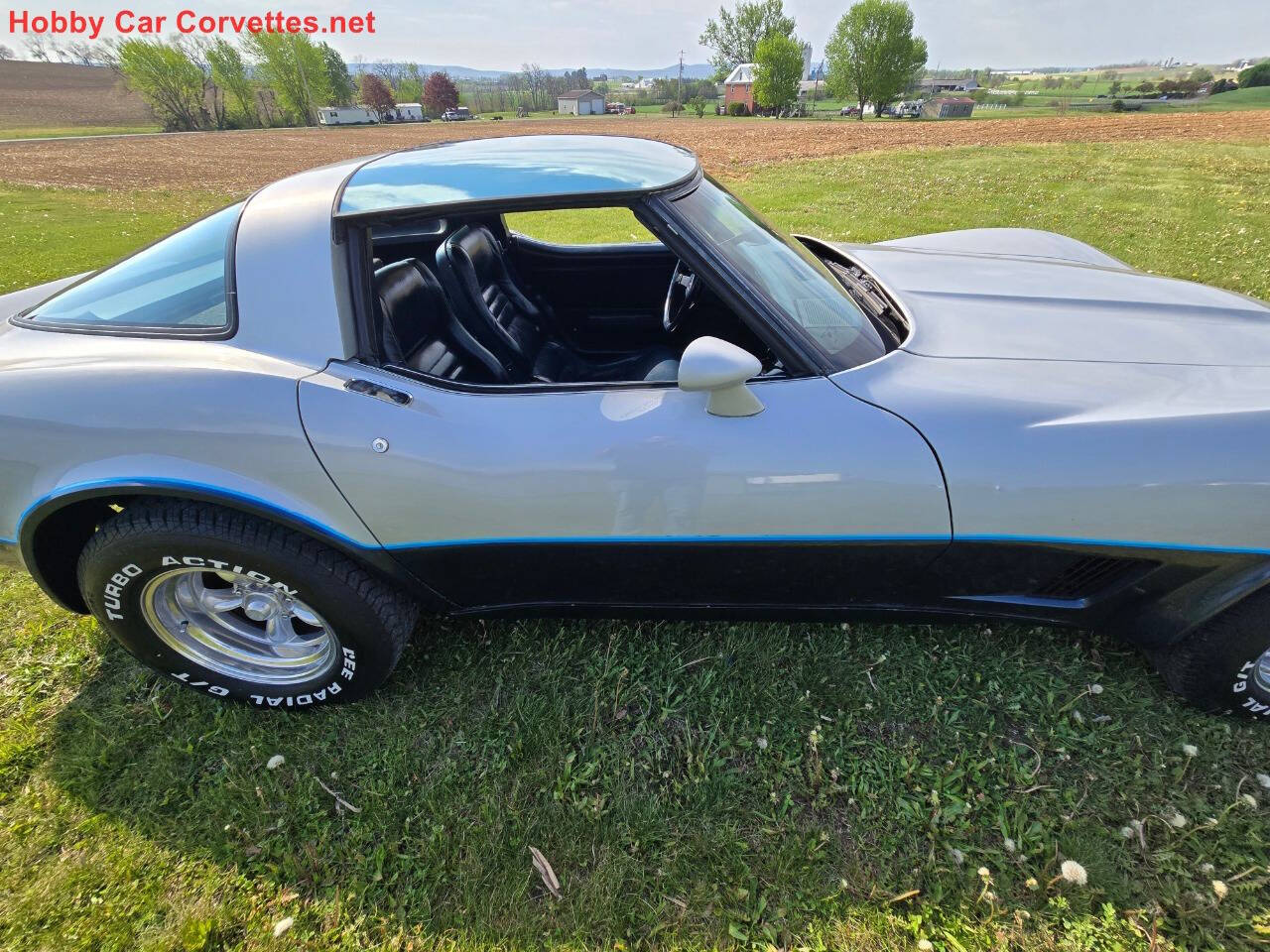 1981 Chevrolet Corvette 16