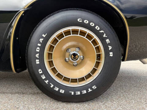 1981 Pontiac Firebird Trans Am