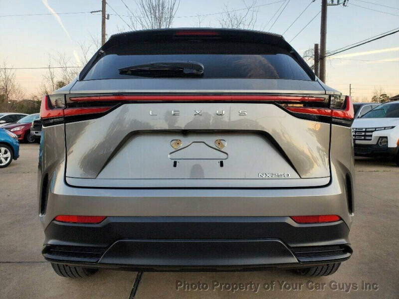 2024 Lexus NX 250