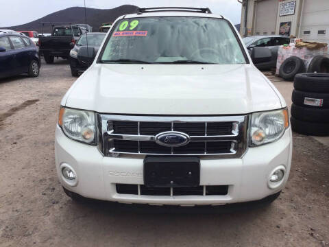 2009 Ford Escape for sale at Troy's Auto Sales in Dornsife PA