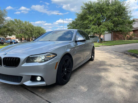 2014 BMW 5 Series for sale at Demetry Automotive in Houston TX