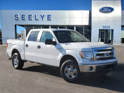 2014 Ford F-150 for sale at Seelye Truck Center of Paw Paw in Paw Paw MI