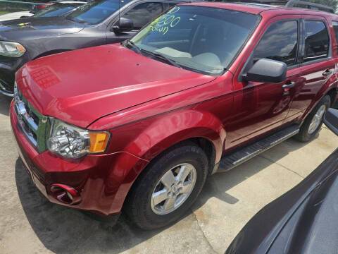 2010 Ford Escape XLT