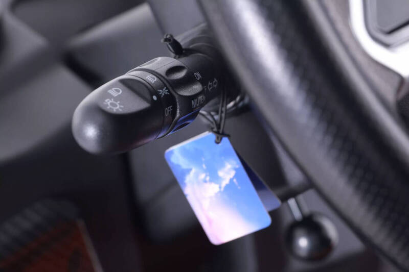 2025 Denago Rover XL