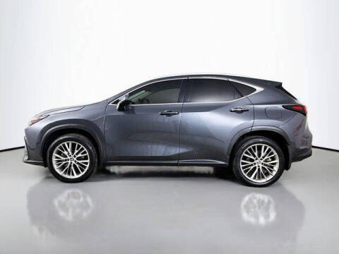 2025 Lexus NX 350h Premium