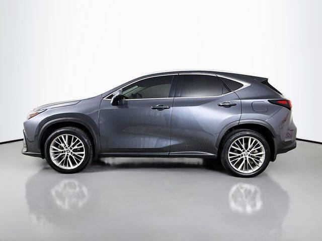 2025 Lexus NX 350h Premium