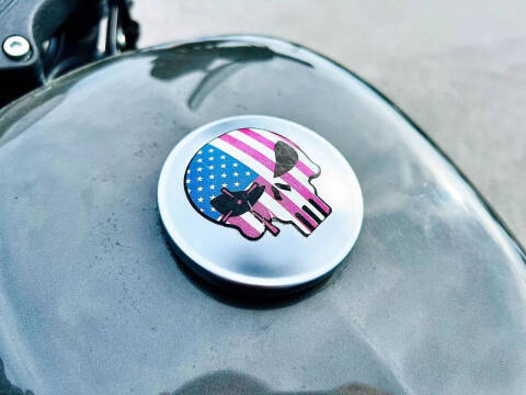 2019 Harley-Davidson XL883N Iron 883