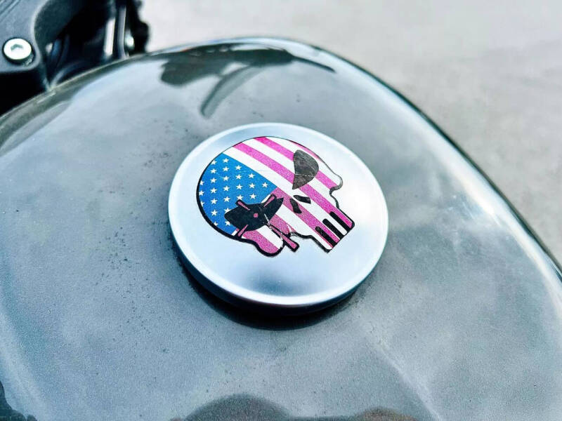 2019 Harley-Davidson XL883N Iron 883