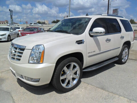 2010 Cadillac Escalade for sale at Talisman Motor Company in Houston TX