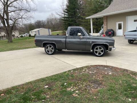 1987 Chevrolet C/K 10 Series for sale at Classic Car Deals in Cadillac MI