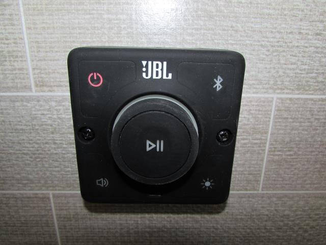 2025 Forest River 38 VERANDA