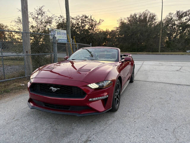 2019 Ford Mustang for sale at Hobgood Auto Sales in Land O Lakes, FL