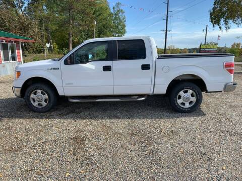 2014 Ford F-150 for sale at Mainstream Motors in Park Rapids MN