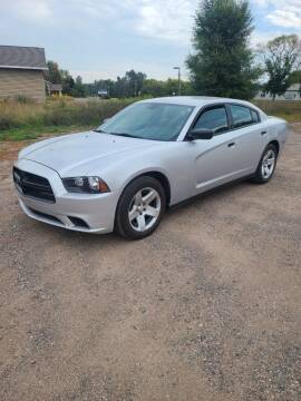 2014 Dodge Charger for sale at D & T AUTO INC in Columbus MN