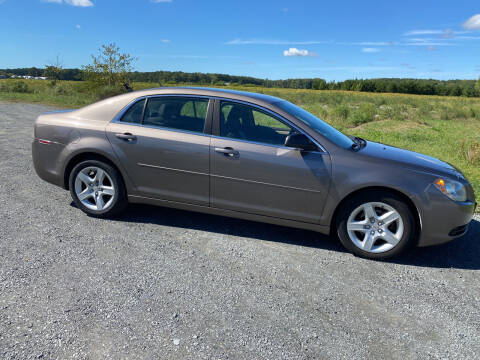 2010 Chevrolet Malibu for sale at Shoreline Auto Sales LLC in Berlin MD