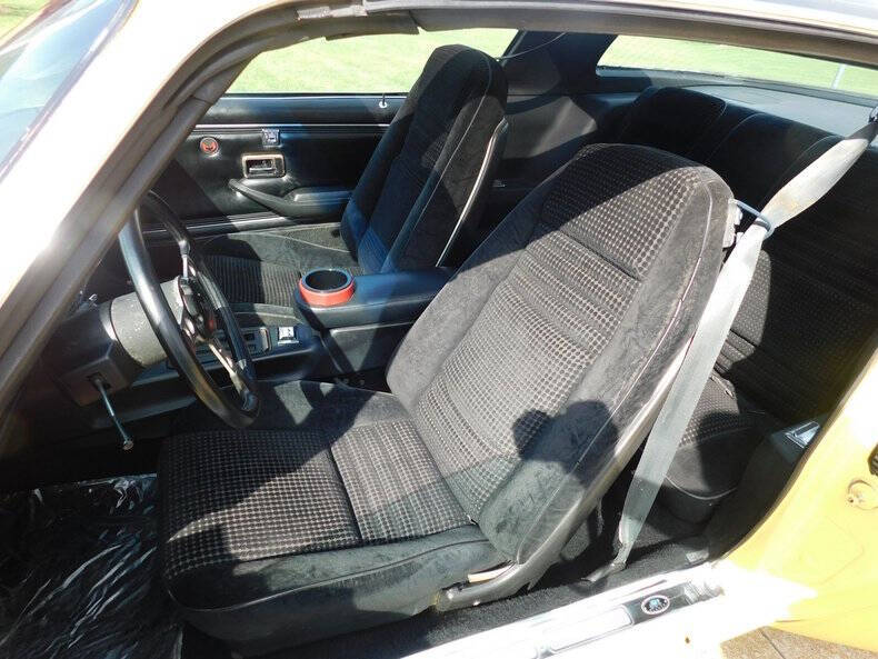 1979 Pontiac Firebird Trans Am