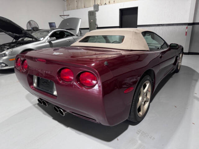 2003 Chevrolet Corvette for sale at EUROPEAN MOTORCARS OF TAMPA in Tampa, FL