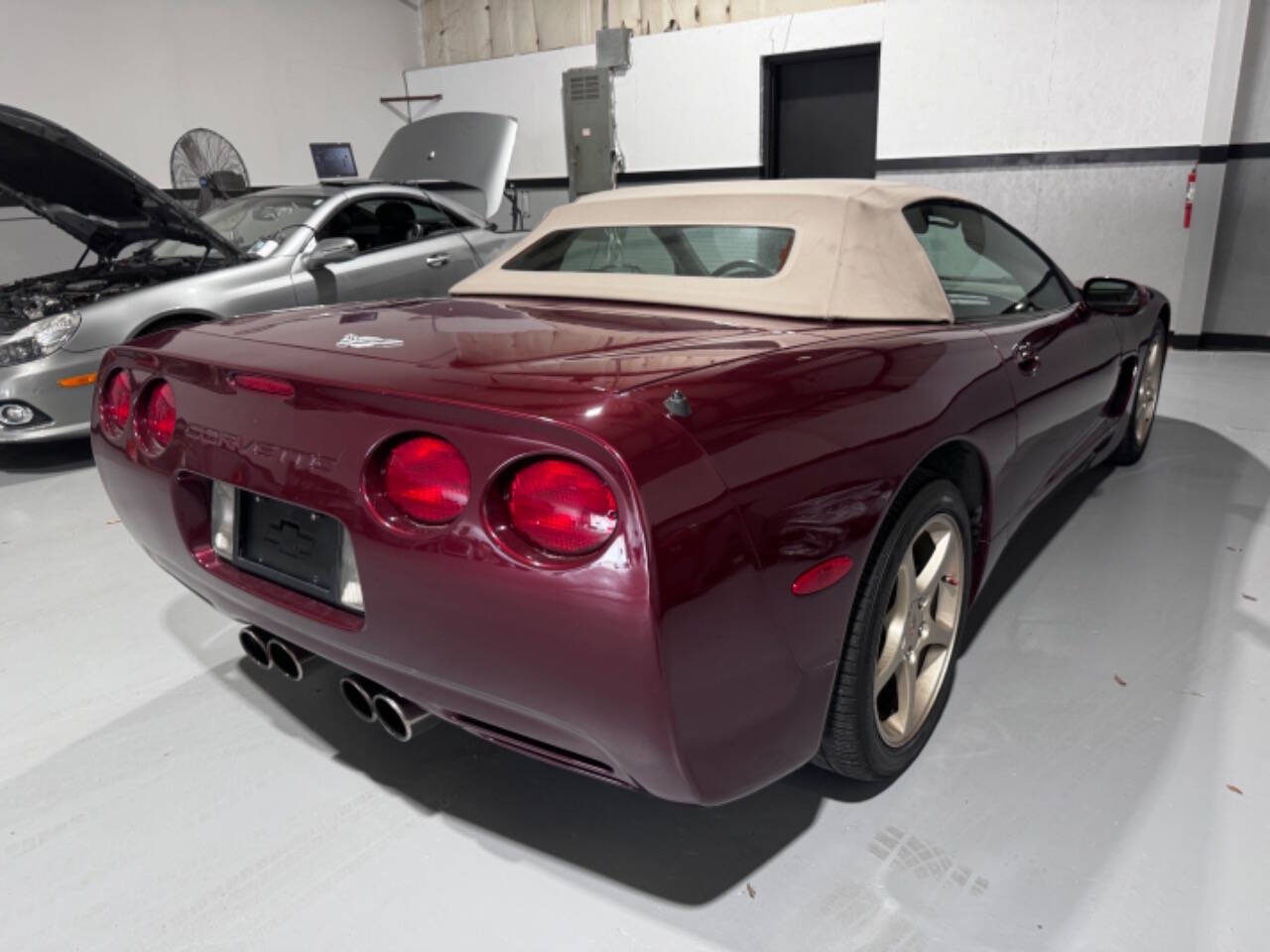 2003 Chevrolet Corvette for sale at EUROPEAN MOTORCARS OF TAMPA in Tampa, FL