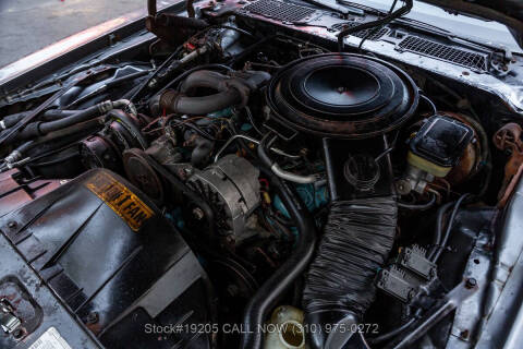 1981 Pontiac Firebird Trans Am SE Turbo