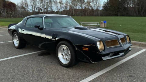 1976 Pontiac Firebird for sale at Classic Car Deals in Cadillac MI