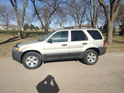 2005 Ford Escape for sale at Hoskins Auto Sales in Hastings NE