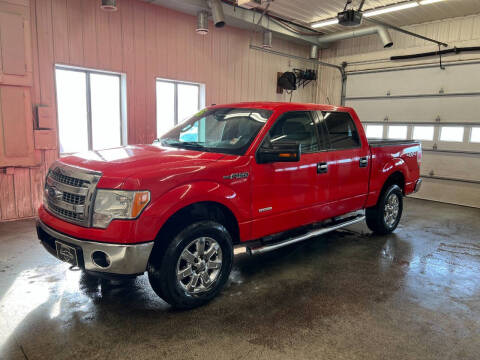 2013 Ford F-150 for sale at Sand's Auto Sales in Cambridge MN