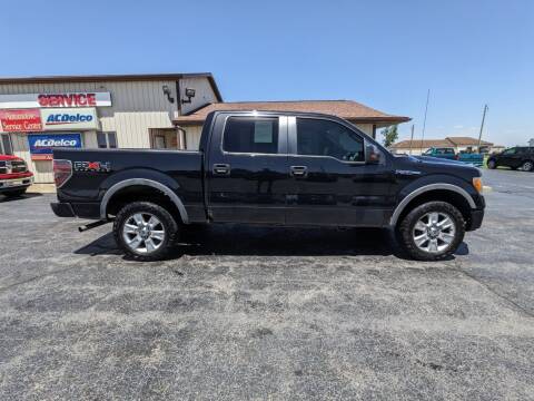 2010 Ford F-150 for sale at Pro Source Auto Sales in Otterbein IN