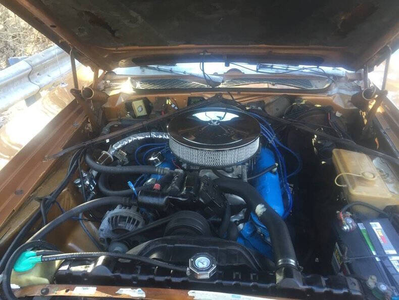 1964 Volkswagen Beetle