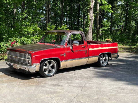 1982 Chevrolet C/K 10 Series for sale at Classic Car Deals in Cadillac MI