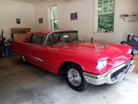 1959 Ford Thunderbird for sale at Lister Motorsports in Troutman NC