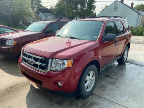 2010 Ford Escape for sale at METRO CITY AUTO GROUP LLC in Lincoln Park MI