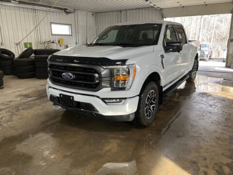 2022 Ford F-150 for sale at Monster Motors in Michigan Center MI