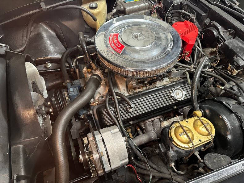 1981 Chevrolet Corvette