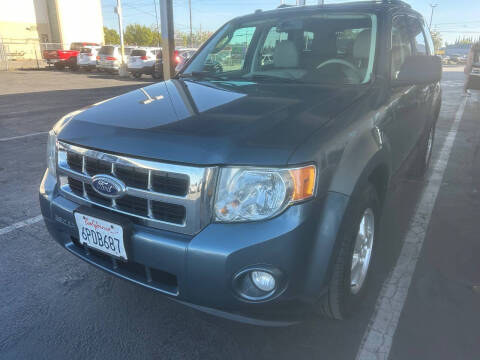 2011 Ford Escape XLT