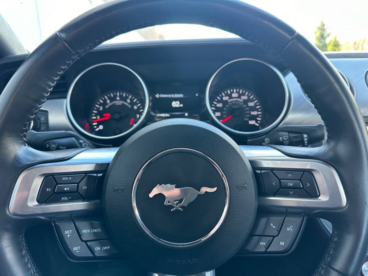 2022 Ford Mustang for sale at Phoenix Motor Co in Romulus, MI