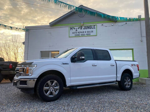 2020 Ford F-150 for sale at Motor Jungle in Preston ID
