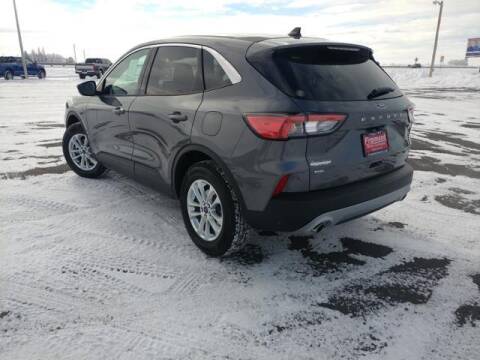 2021 Ford Escape for sale at Rocky Mountain Commercial Trucks in Casper WY