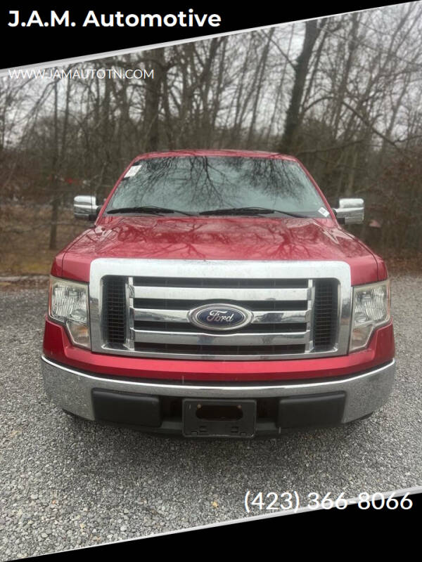 2011 Ford F-150 for sale at J.A.M. Automotive in Surgoinsville TN