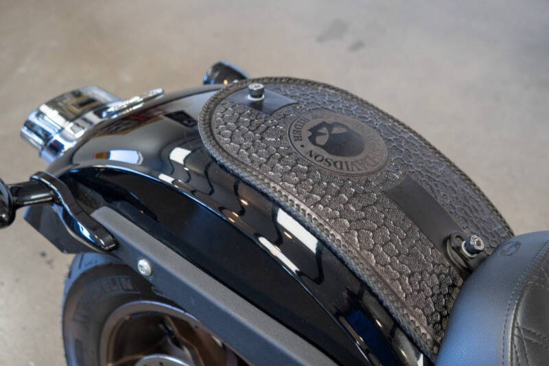 2021 Harley-Davidson Low Rider S