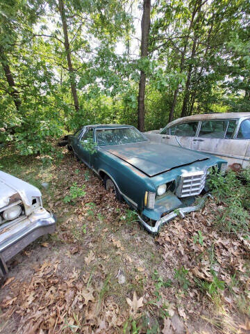 1979 Ford Thunderbird for sale at Marshall Motors Classics in Jackson MI