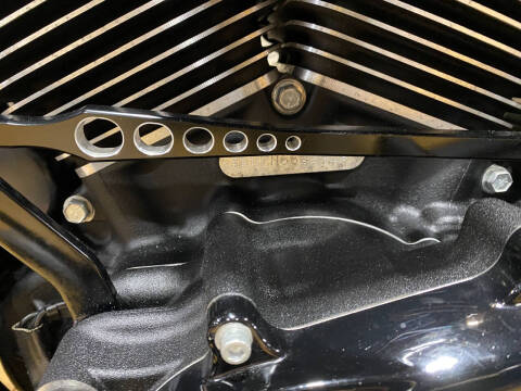 2022 Harley-Davidson Road King® Special
