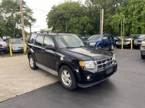 2011 Ford Escape XLT