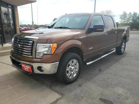 2011 Ford F-150 for sale at Will Deal Auto & Rv Sales in Great Falls MT